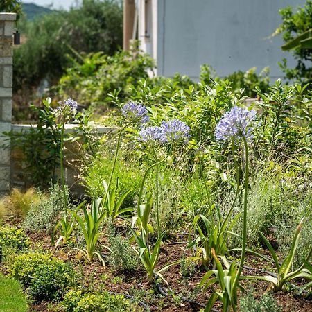 Syvota Gardens Διαμέρισμα Εξωτερικό φωτογραφία